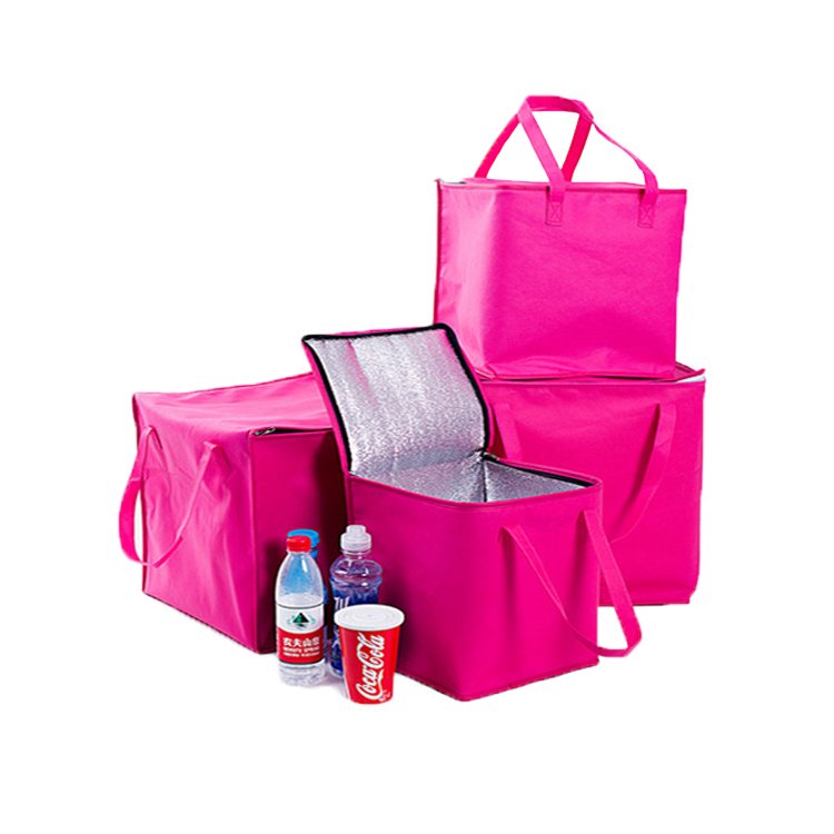 Nonwoven Cooler Bags