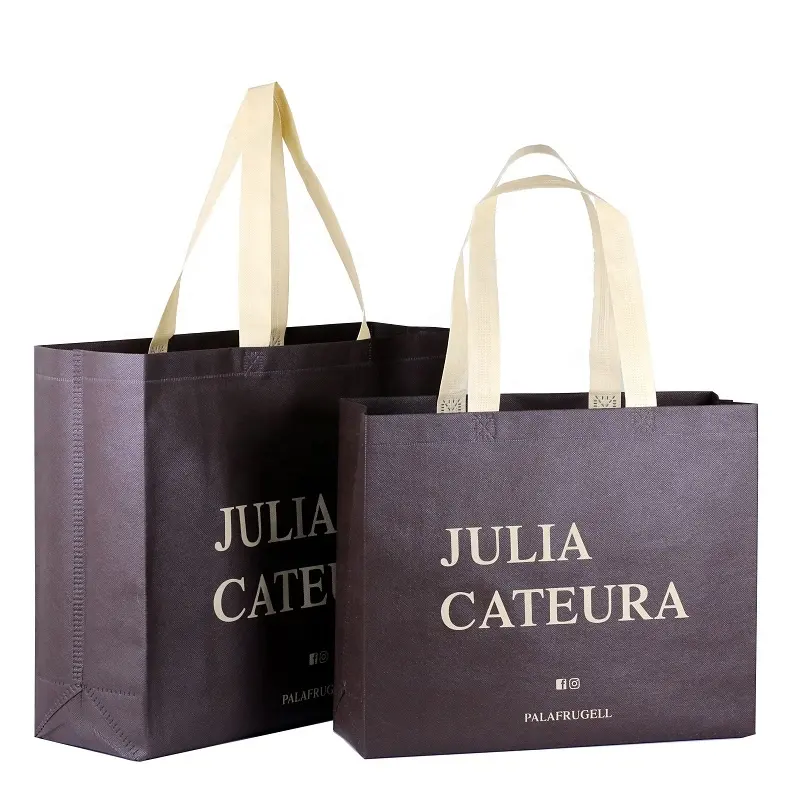 Nonwoven Bag (Pp/Rpet/Pla)